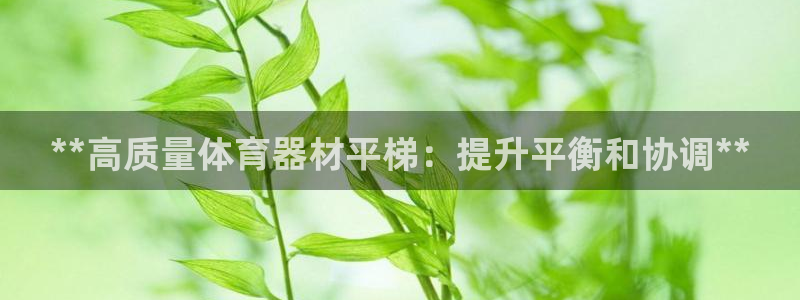 国际凯时ag优质运营商：**高质量体育器材平梯：提升