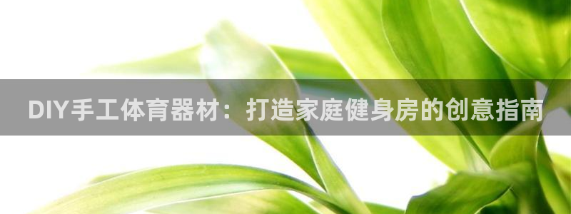 尊龙凯时平台官网：DIY手工体育器材：打造家庭健身房