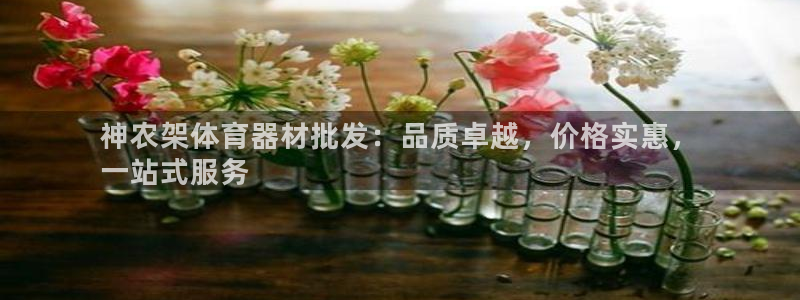 尊龙凯时平台有没有不到账的：神农架体育器材批发：品质