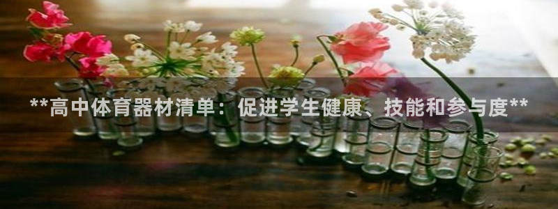 尊龙凯时官网网页版：**高中体育器材清单：促进学生健