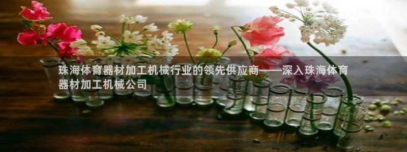 凯时平台官网RA来就送38：珠海体育器材加工机械行业